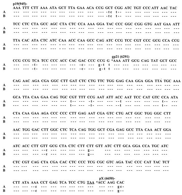 FIG. 7