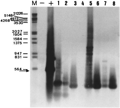 FIG. 6