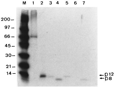 FIG. 8