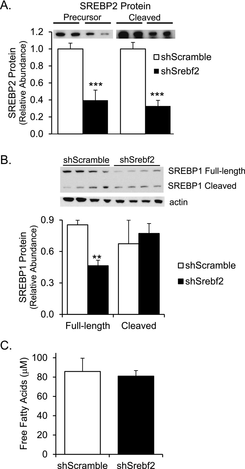 Fig. S1.