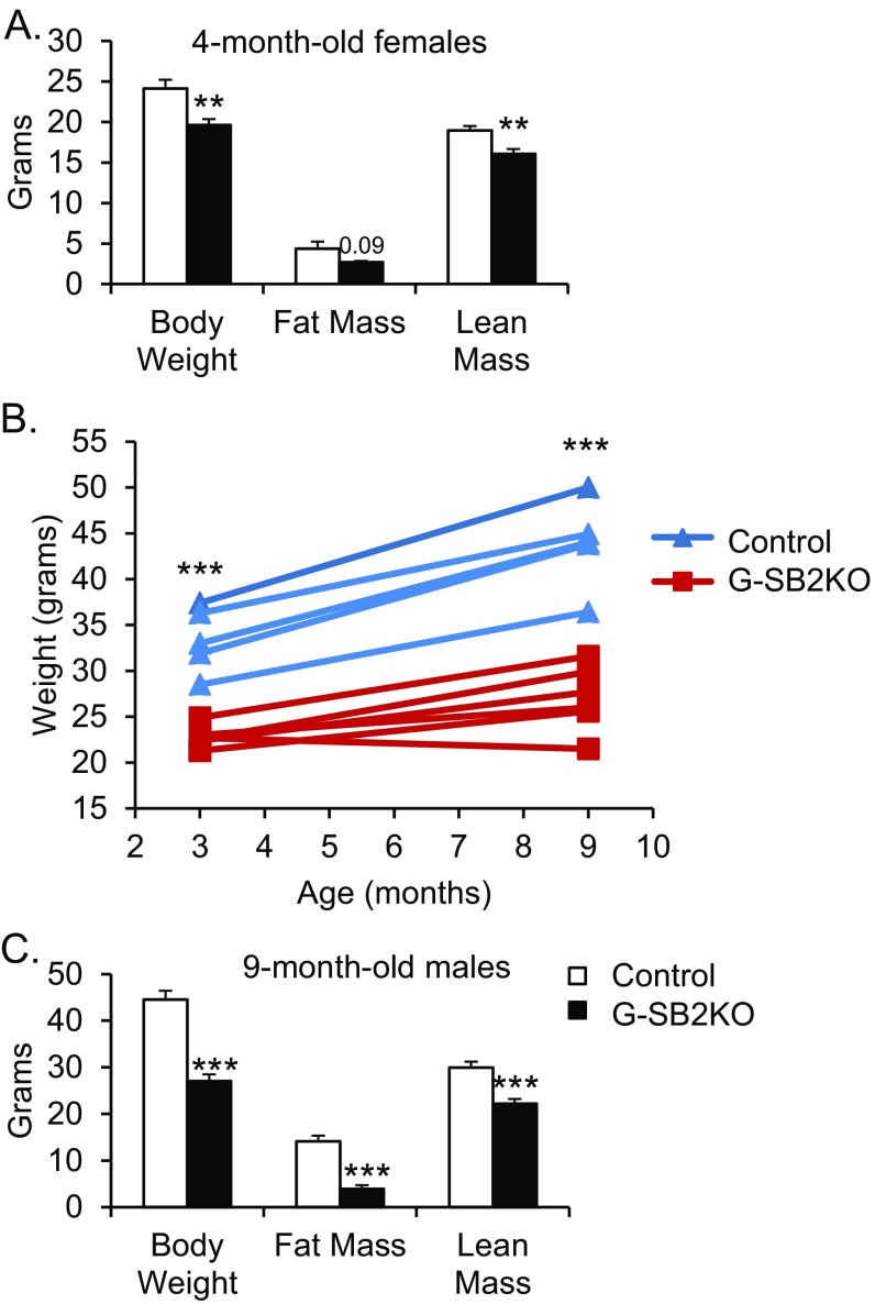 Fig. S4.