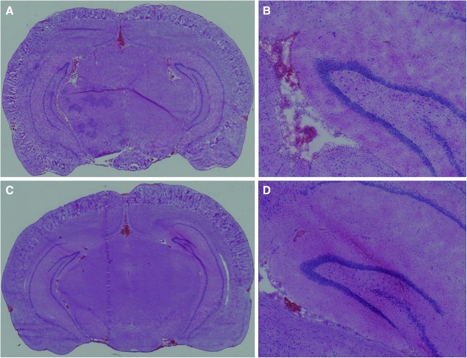 FIG. 8.