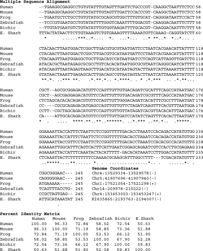 Figure 2—figure supplement 1.