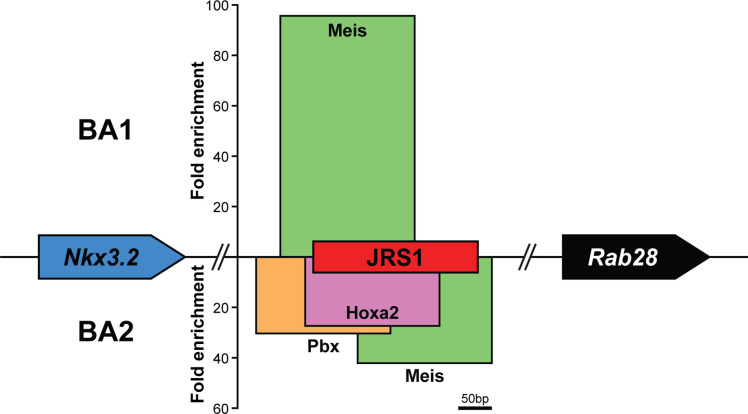 Figure 2—figure supplement 2.