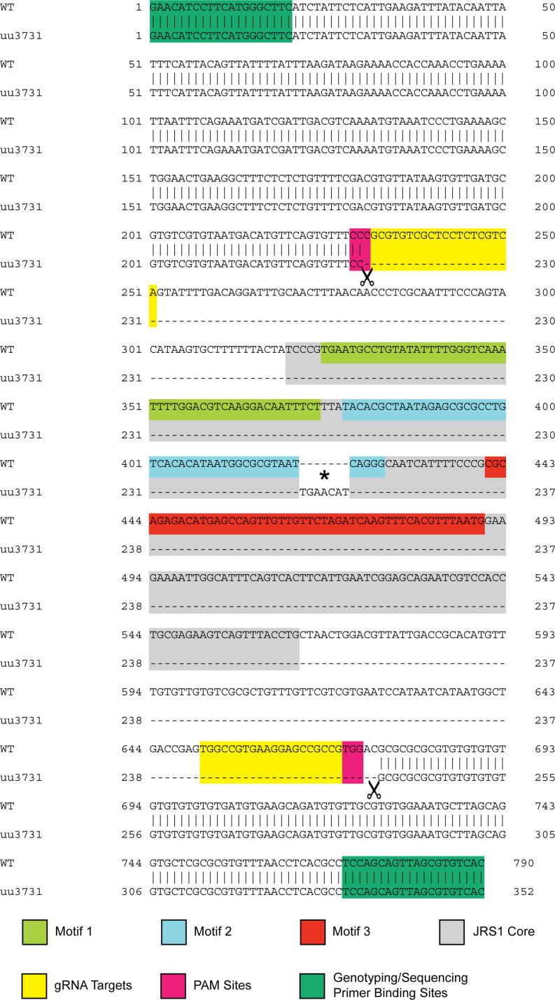 Figure 6—figure supplement 1.