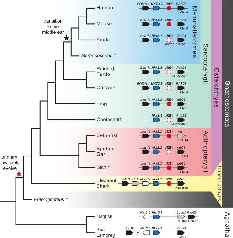 Figure 1.