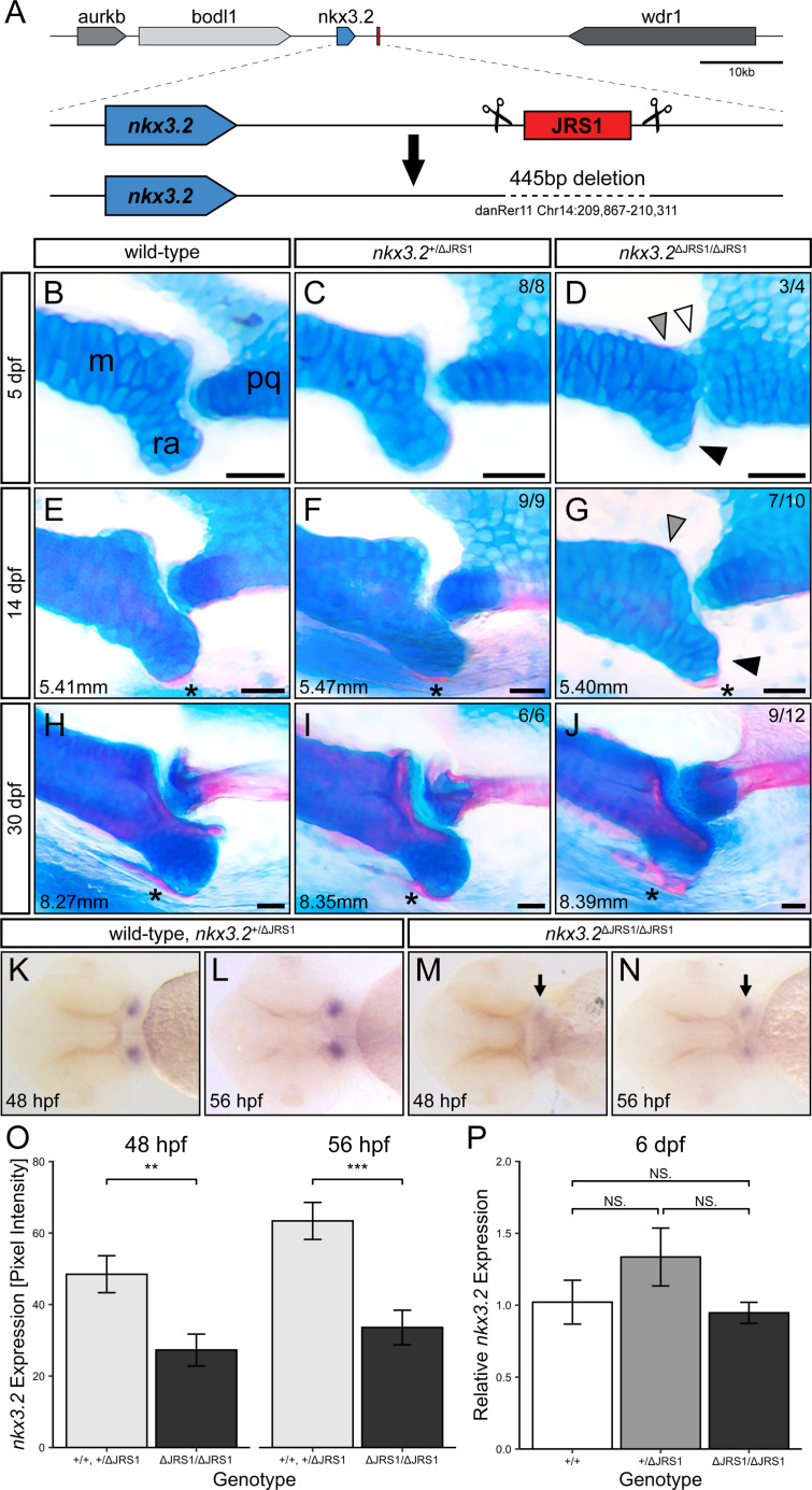 Figure 6.