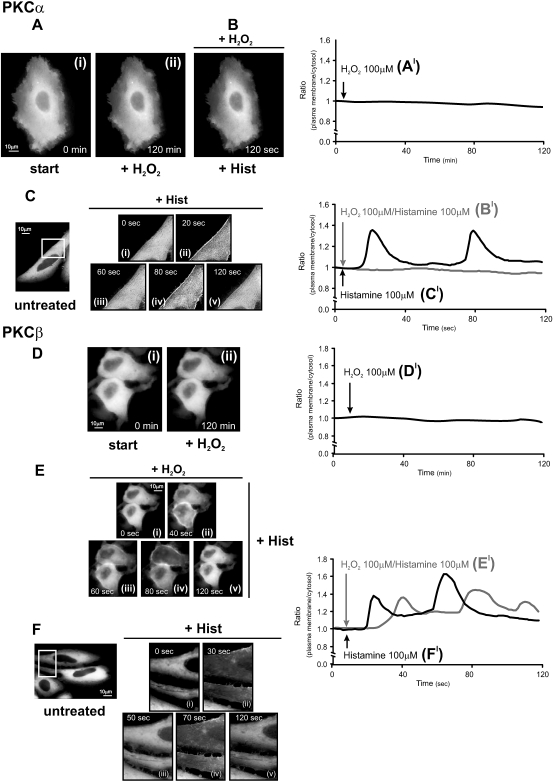 Fig 1.