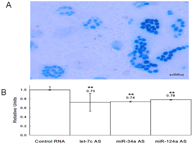 Fig. 6.