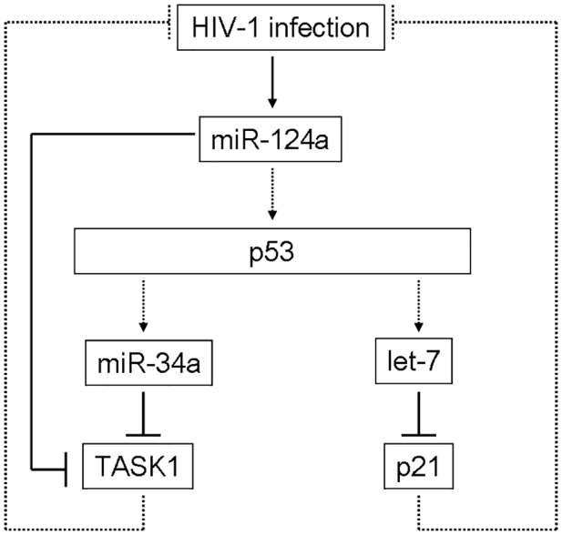 Fig. 8.