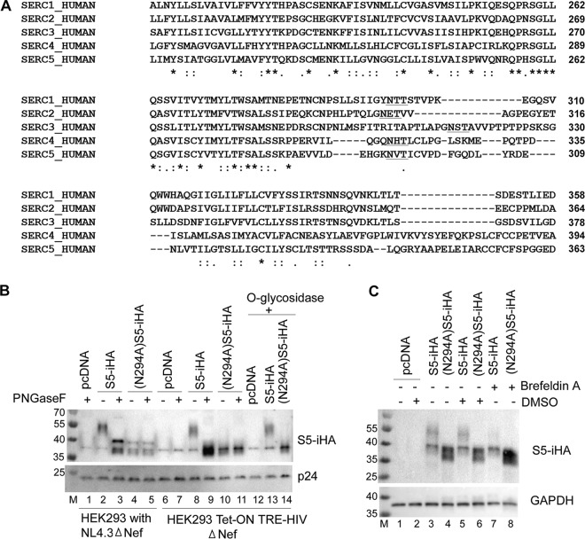 FIG 3