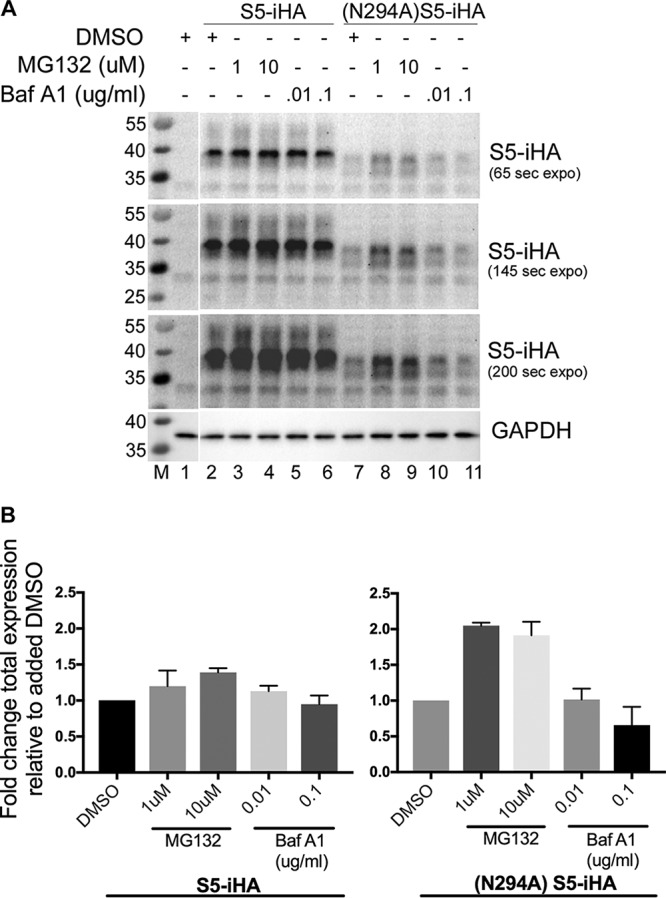 FIG 6