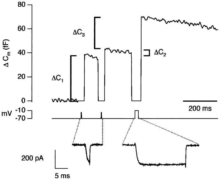 Fig. 2.