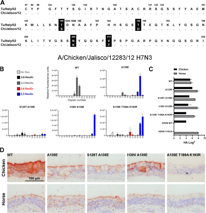 FIG 6