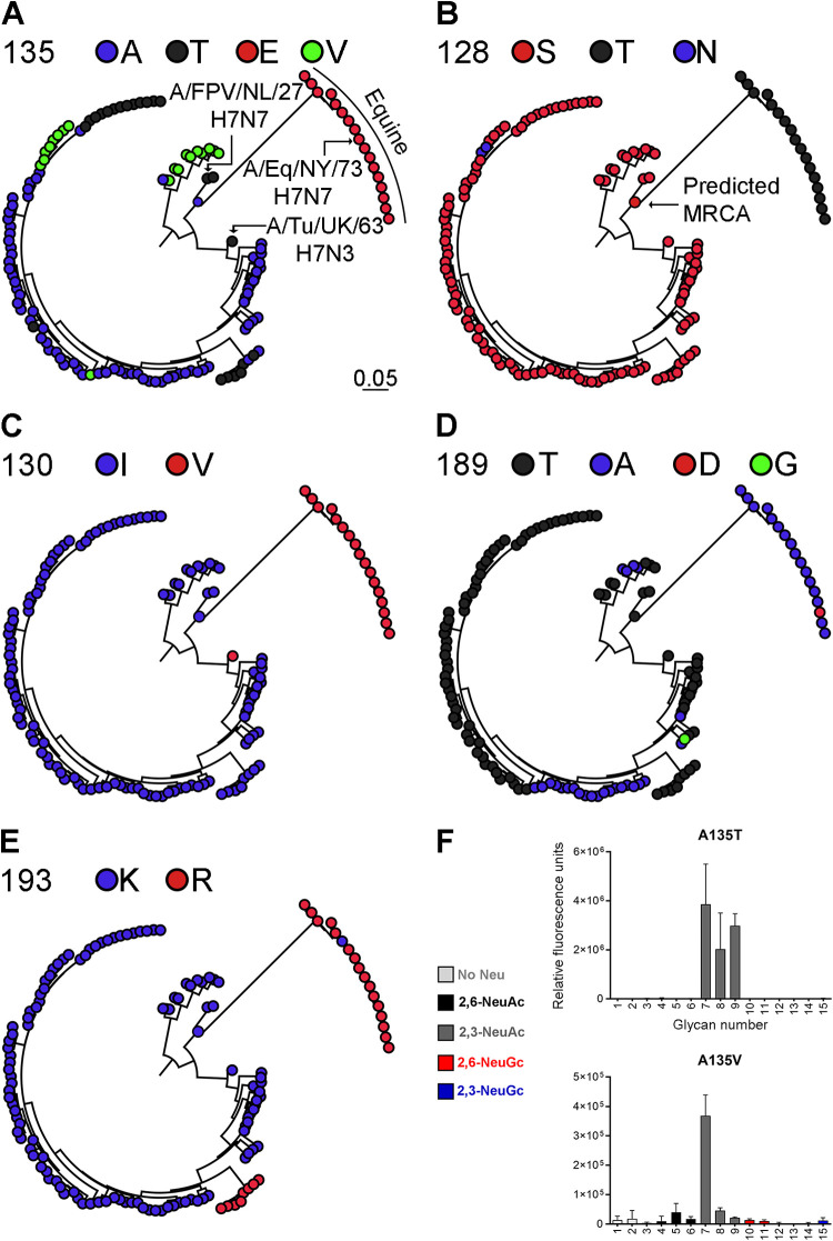 FIG 8