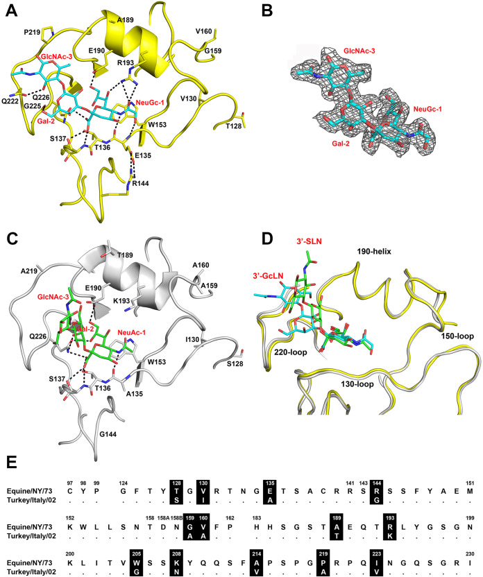 FIG 1