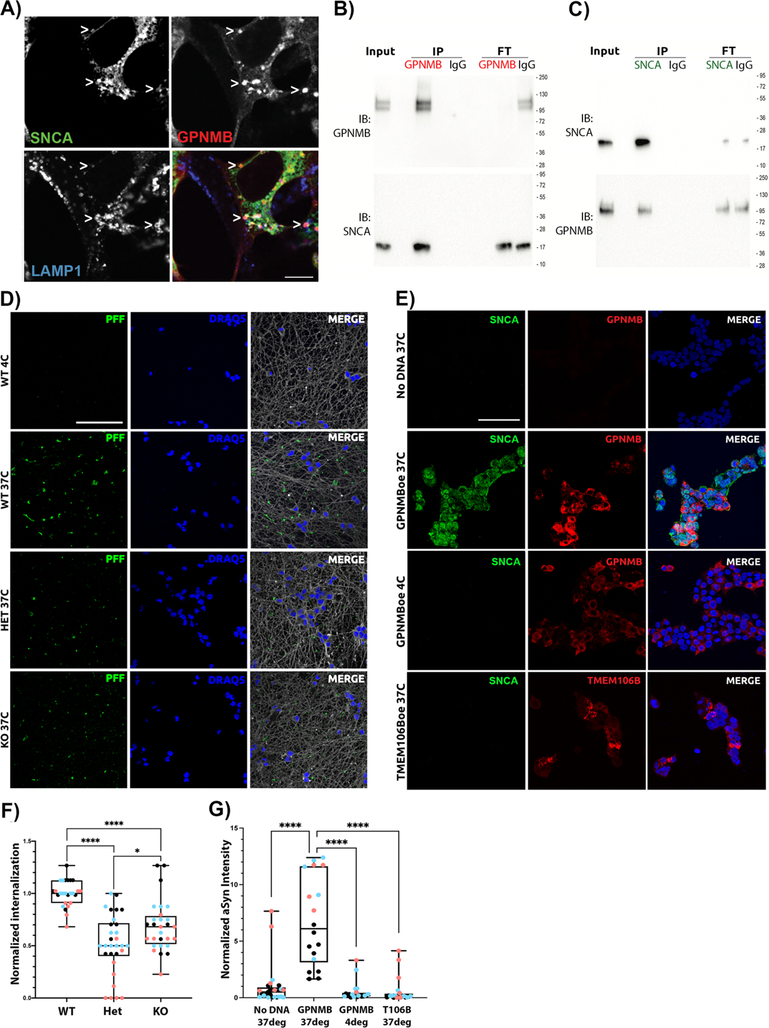 Figure 4: