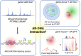 Graphical Abstract