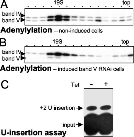 FIG. 7.