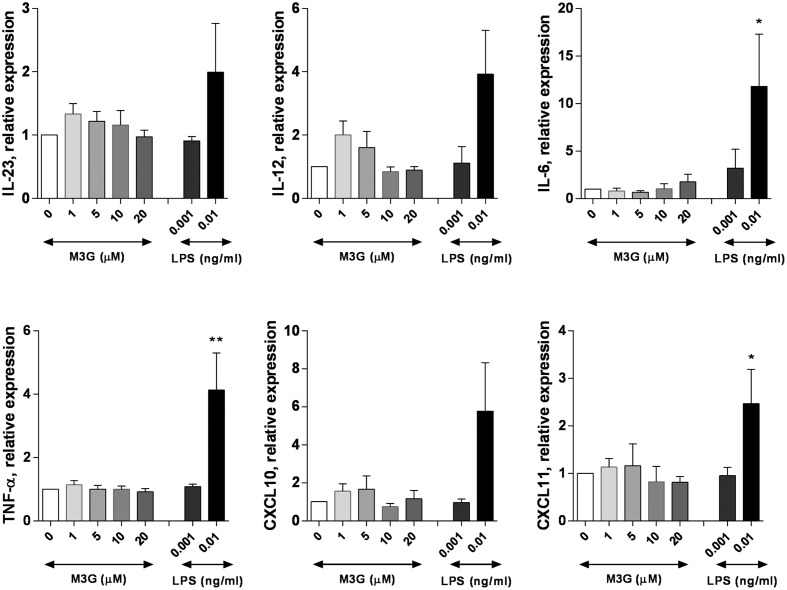 FIGURE 4