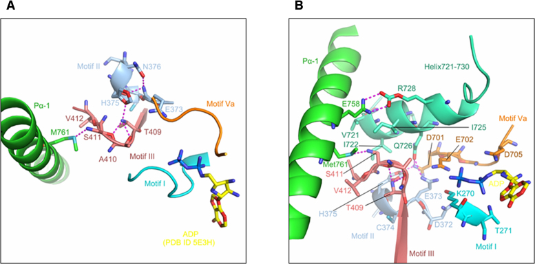 Figure 6.