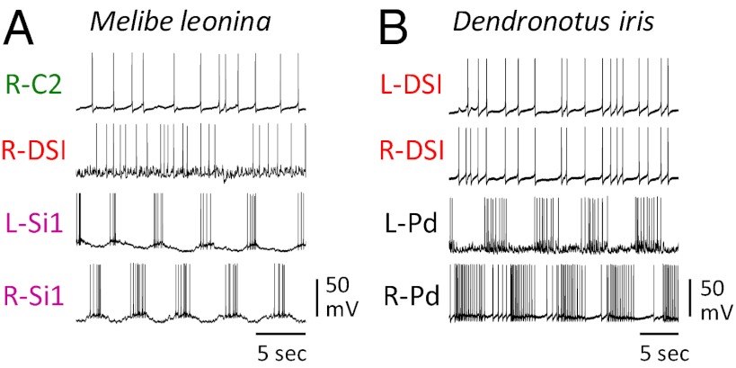 Fig. 6.