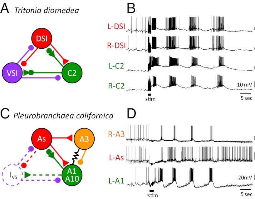 Fig. 4.