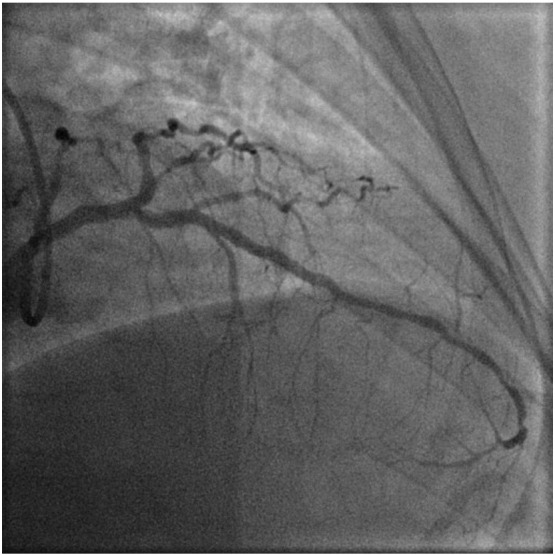 Fig. 2