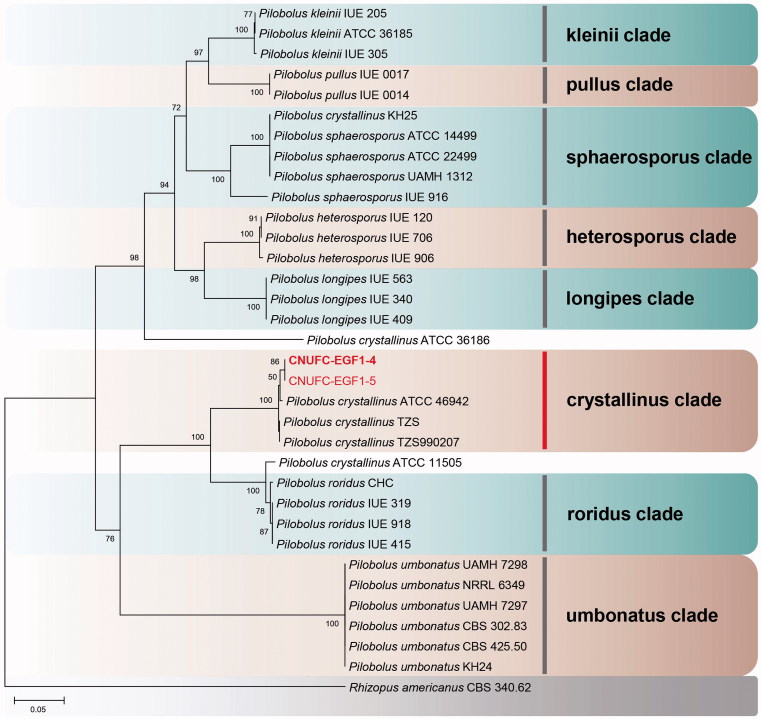 Figure 2.