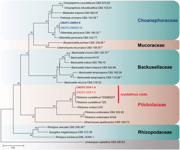 Figure 3.