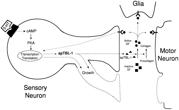 Fig. 9.