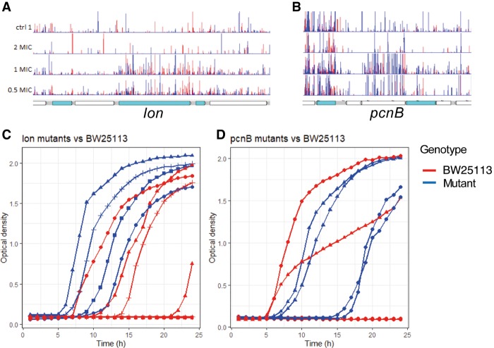 Figure 4.