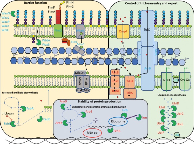 Figure 6.