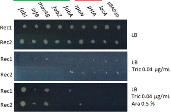 Figure 5.