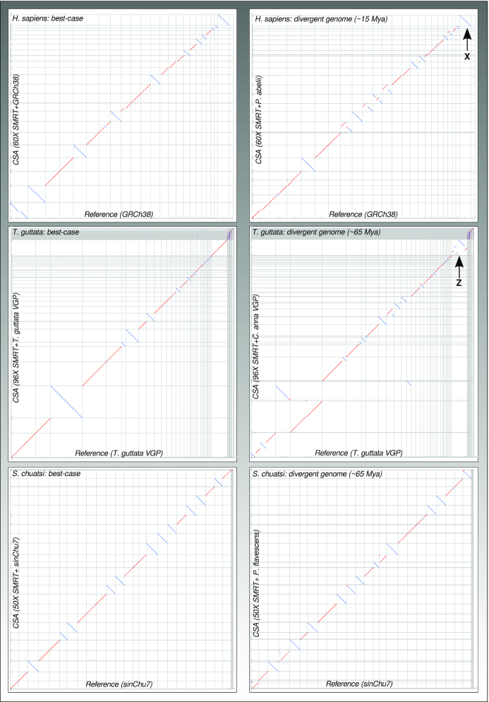 Figure 2: