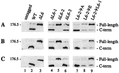 FIG. 4.