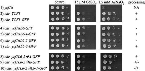 FIG. 6.