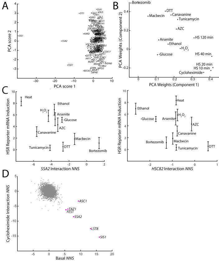 Figure 5—figure supplement 3.