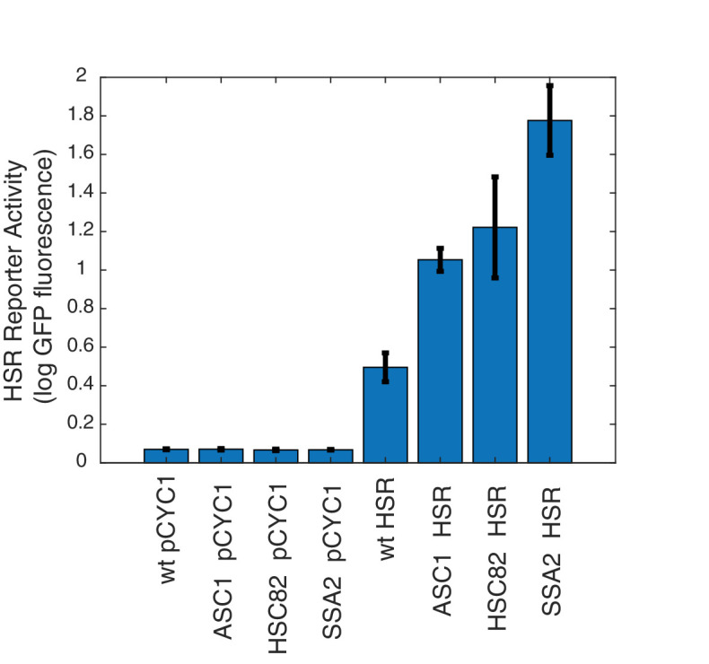 Figure 2—figure supplement 2.