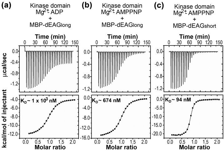 Figure 2: