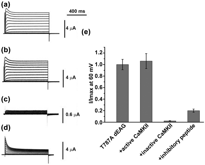 Figure 7: