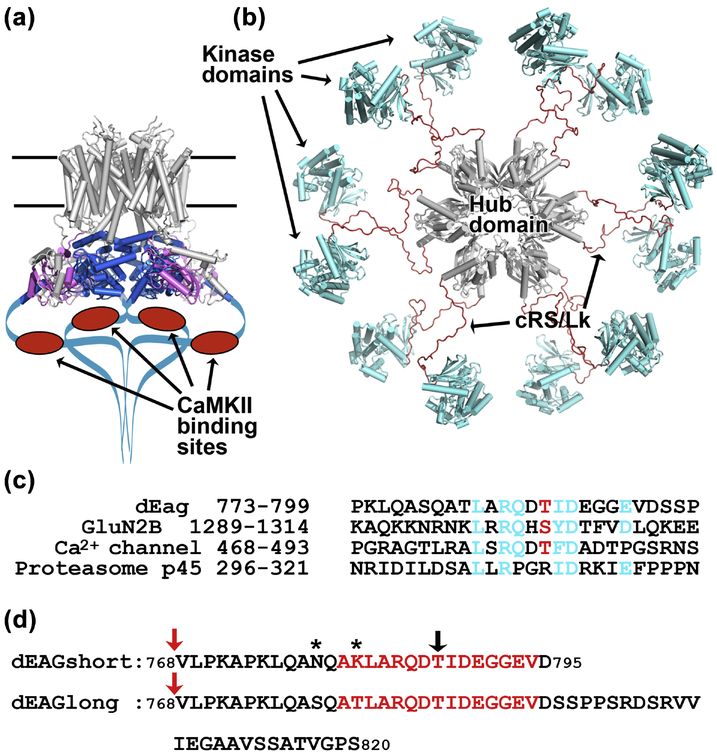 Figure 1: