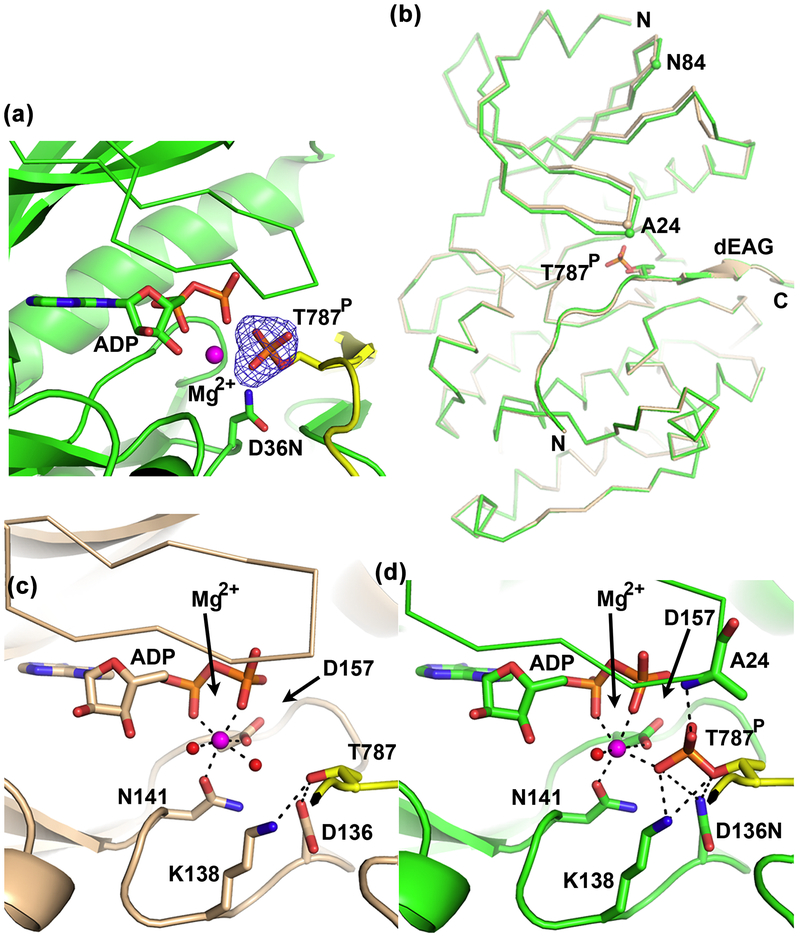 Figure 9: