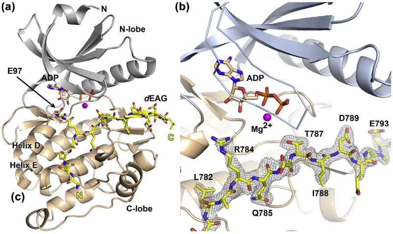 Figure 3: