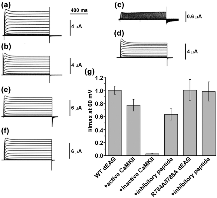 Figure 6: