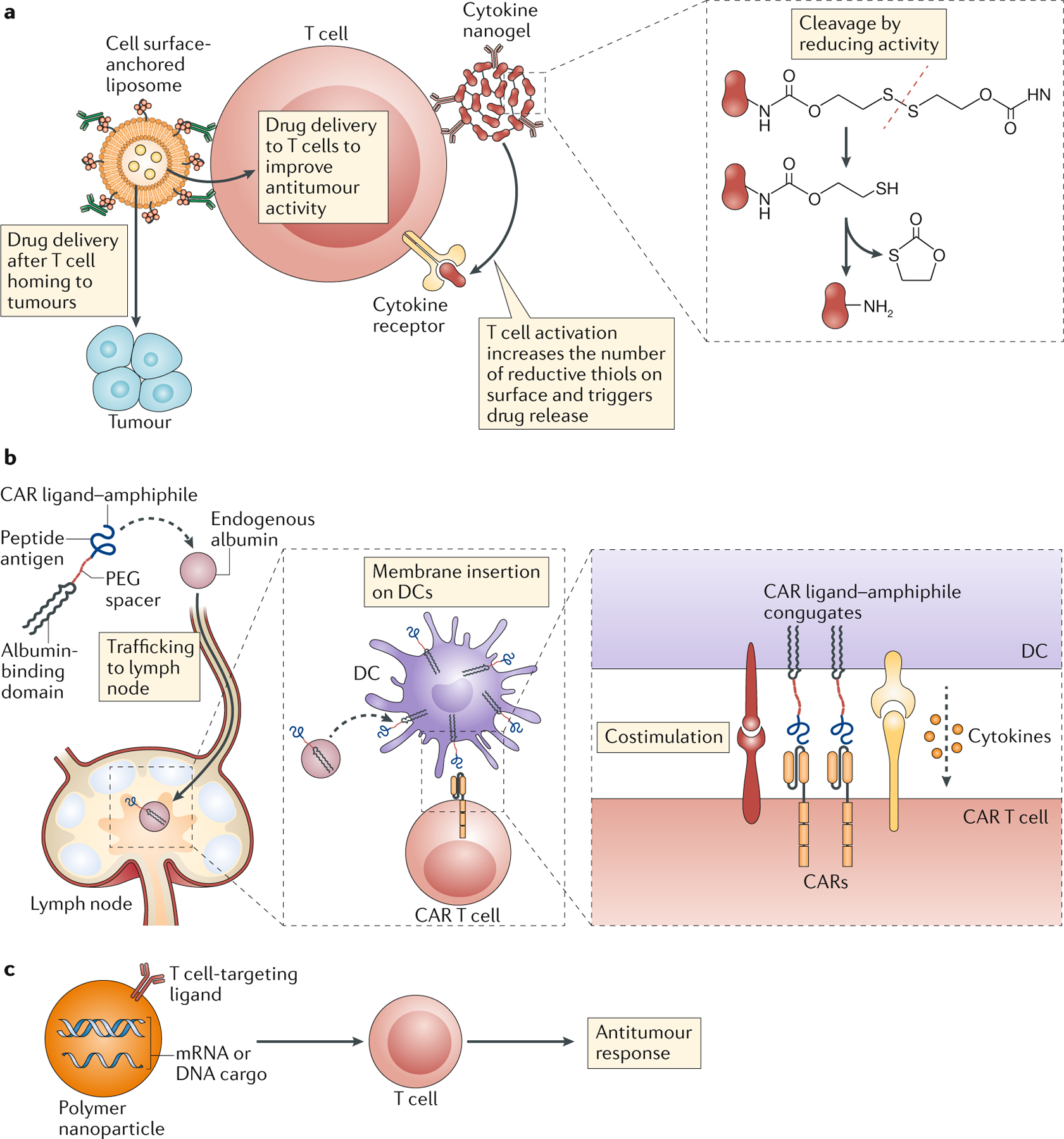 Figure 4 |