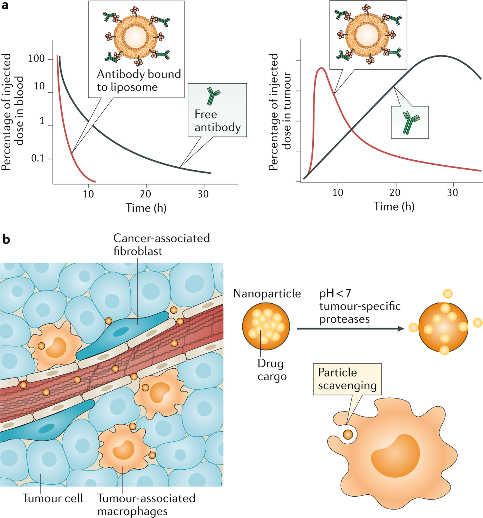 Figure 3 |