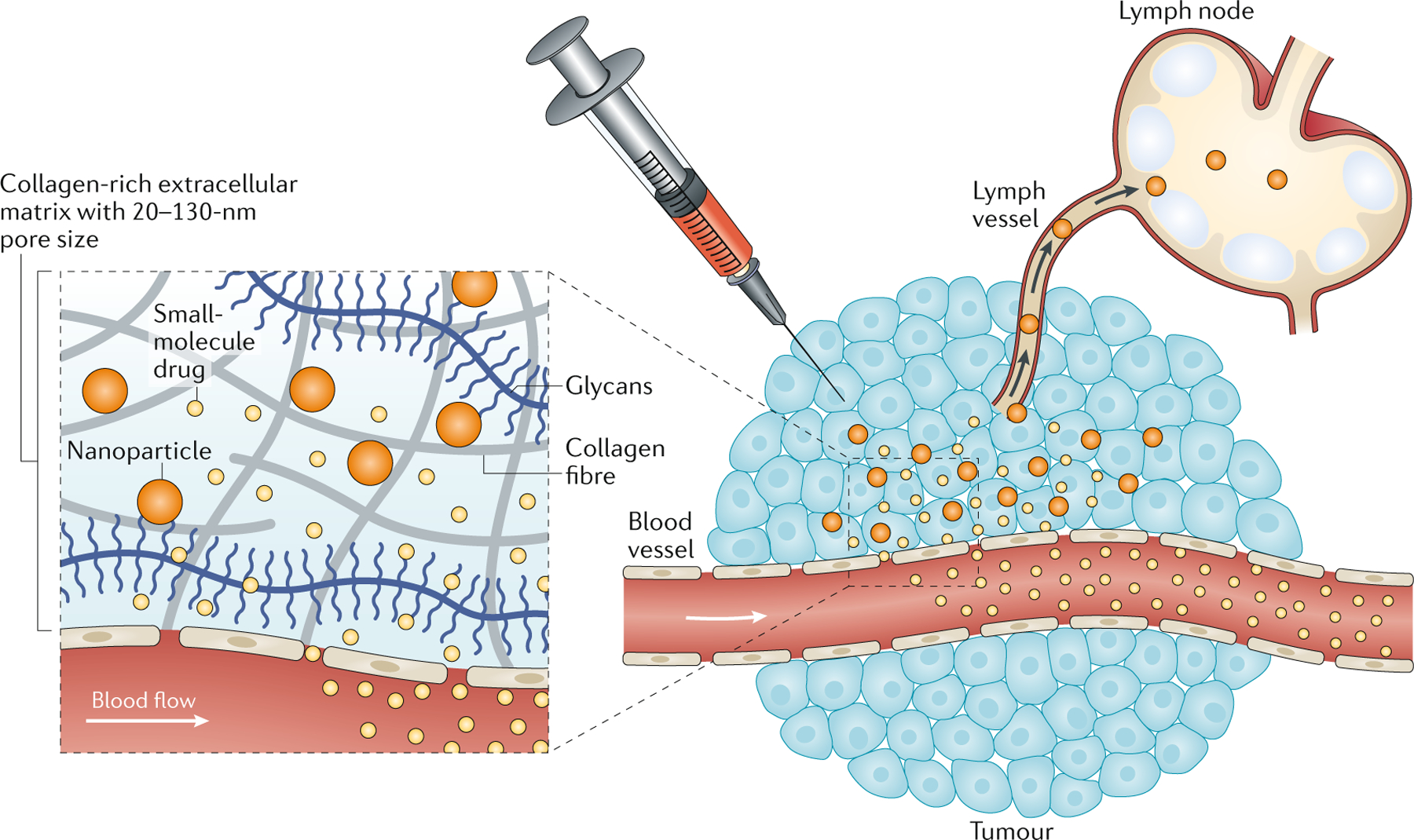 Figure 2 |