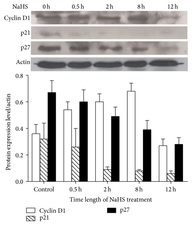 Figure 5