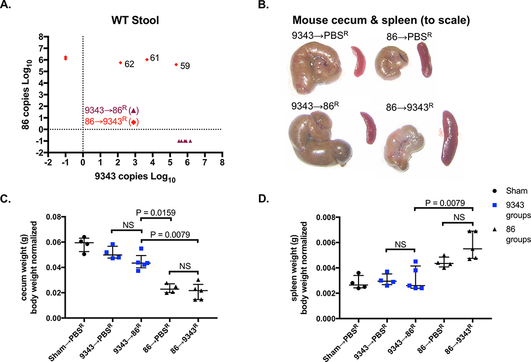 Fig 6.